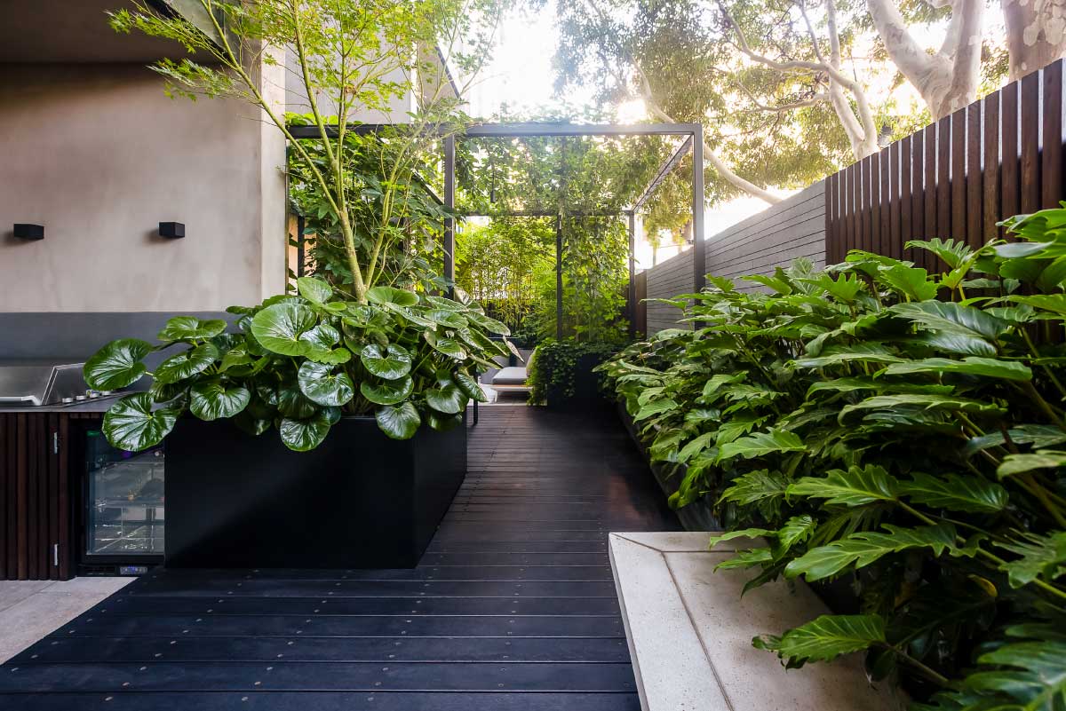 Lisa Ellis Gardens Landscape Design Garden Installations